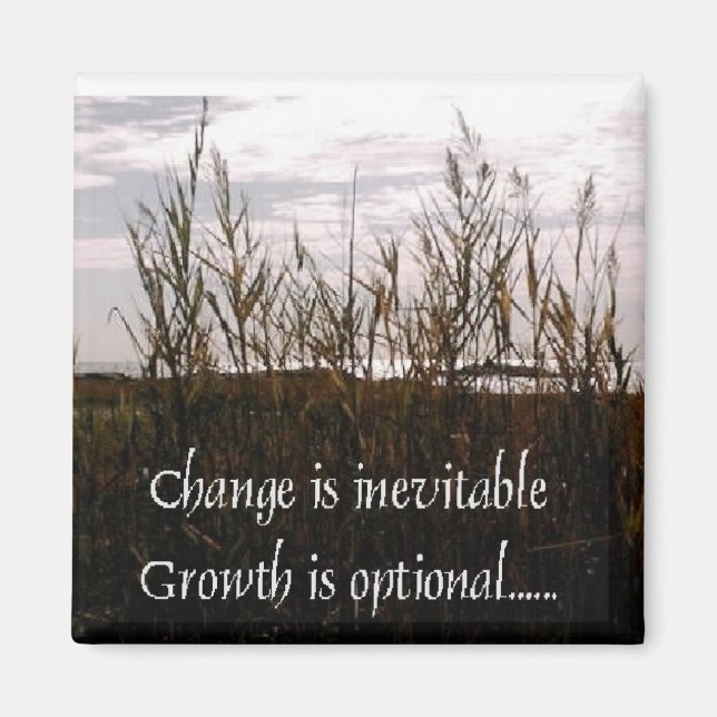 Imã A mudança é inevitável (Frente)