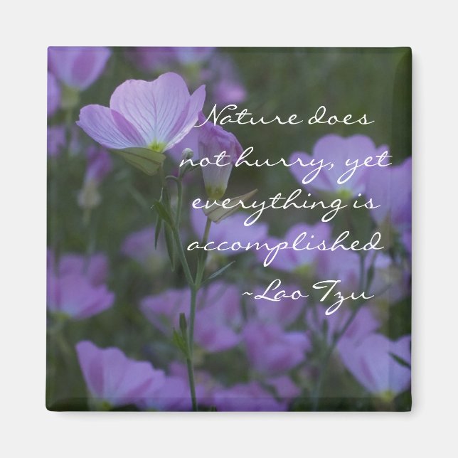 Imã a natureza não se apressa (Frente)