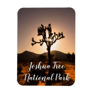 Ímã A noite começa em Joshua Tree