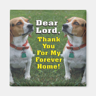 Imã A oração do lebreiro