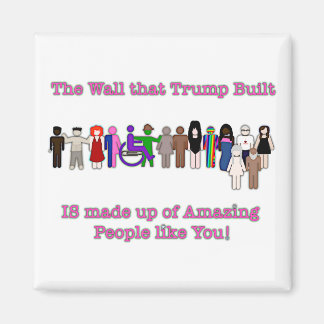 Imã A Parede que Trump Construiu
