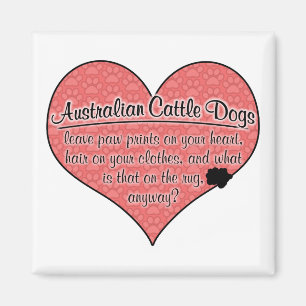 Imã A pata australiana do cão do gado imprime o humor
