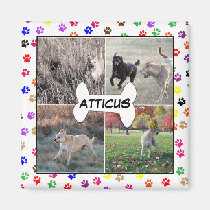 Imã A pata personalizada das fotos do cão imprime