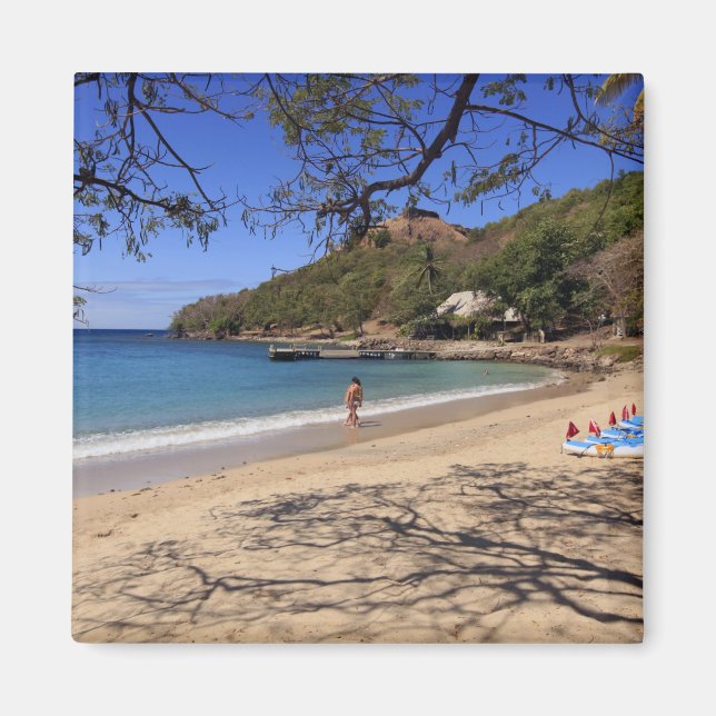 Imã A praia no Parque Nacional da Ilha do Pombo (Frente)