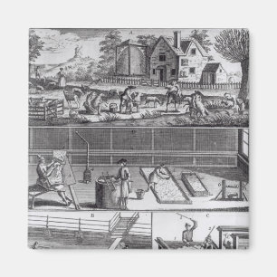 Imã A Primeira Chapa do Fabrico de Roubados