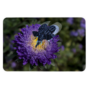 Ímã A Rara Bugphant Azul