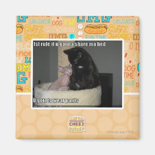 Imã ?a regra se u que vai compartilhar de mães coloca