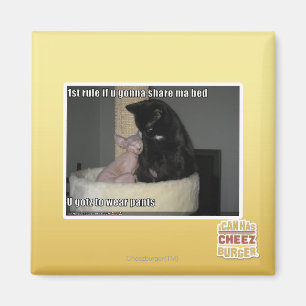 Imã ?a regra se u que vai compartilhar de mães coloca