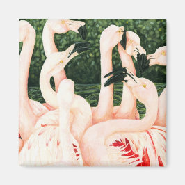 Imã A Rosa - Flamingos