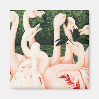 Imã A Rosa - Flamingos