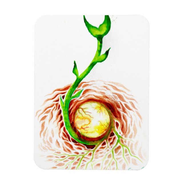 Ímã A semente do cartão-postal de impressão poster (Vertical)