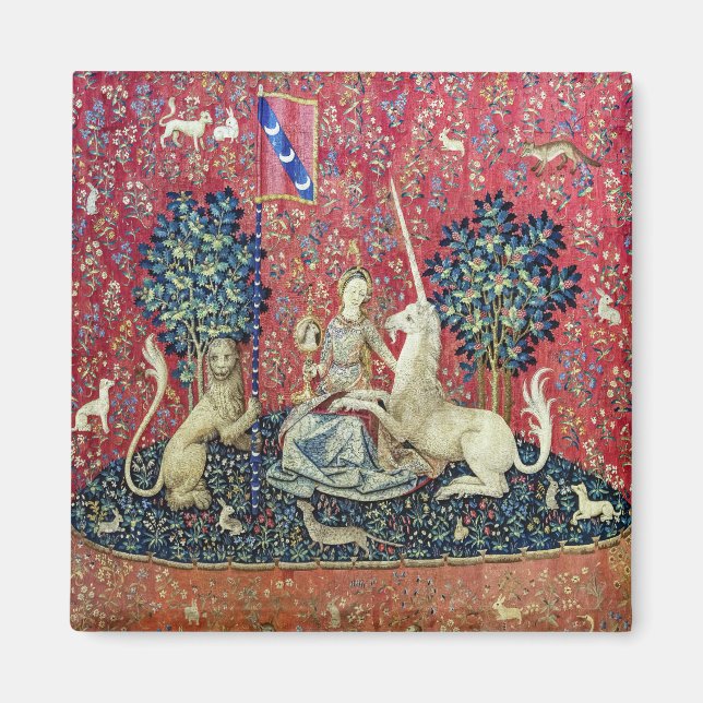 Imã A Senhora e o Unicórnio, Visão (Frente)