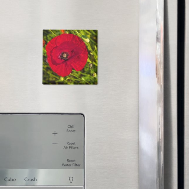 Imã A série de papoila nº 2 (In Situ (Fridge))