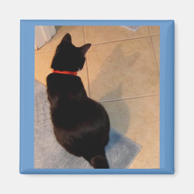 Imã A Sombra da Lucy (Frente)