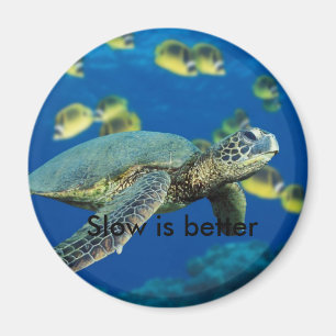 Imã A tartaruga de mar verde, lenta é melhor