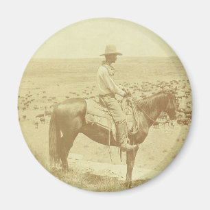 Imã A Texas cowboy
