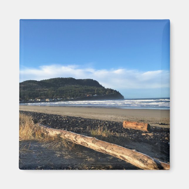 Imã A Vaca em Seaside, Oregon (Frente)