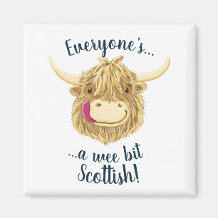 Imã A vaca pequenina das montanhas de Hamish diz todos