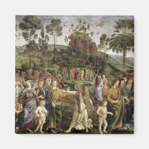 Imã A viagem de Moses, c.1481-83