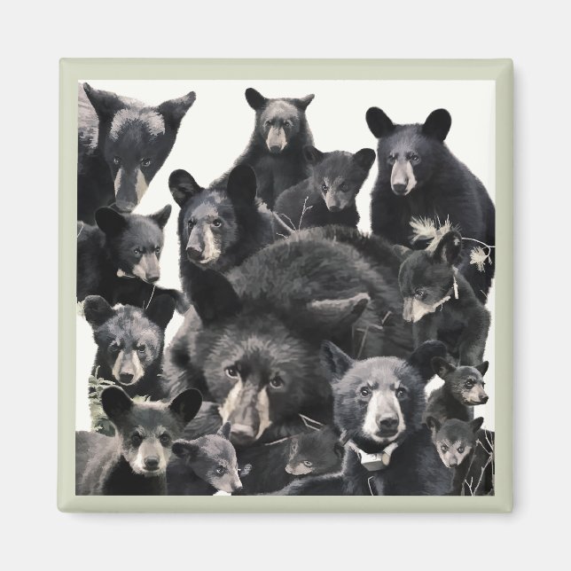 Imã A vida da esperança (Frente)