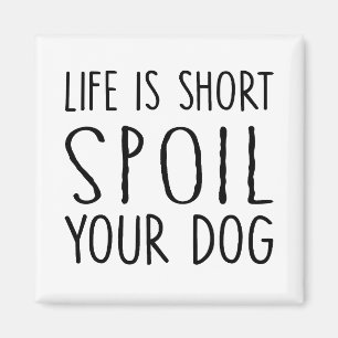 Imã A vida de presente do dono do cão é curta.