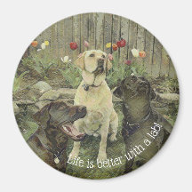 A vida é melhor com um ímã de laboratório