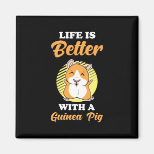 Imã A vida é melhor com um porco guineense