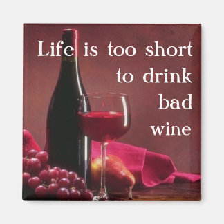 Imã A vida é muito curta