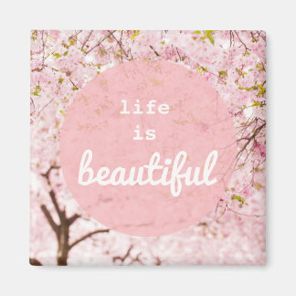 Imã A Vida É Um Belo Magnô