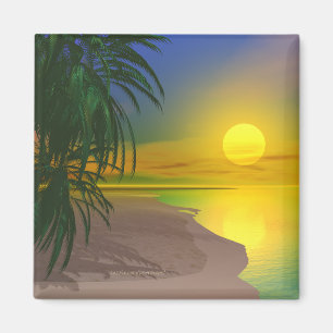 Imã A vida é uma praia ensolarada