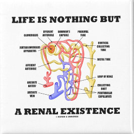 Imã A Vida Não É Mais Do Que Uma Existência Renal