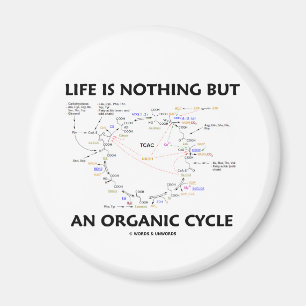 Imã A vida não é nada mas um ciclo orgânico (o cicl