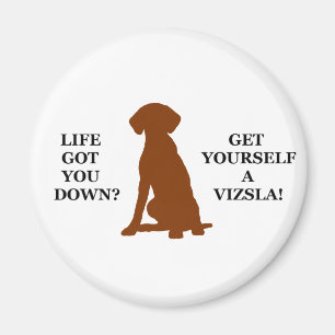 Imã A vida obteve-o para baixo? Obtenha-se um Vizsla!