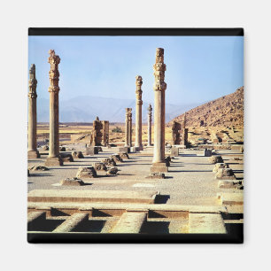 Imã A vista geral do Apadana fundou c.518 BC