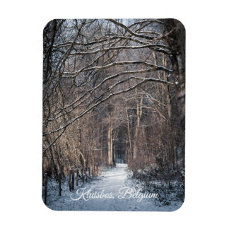 Ímã A Winters Day in Kluisbos Belgium