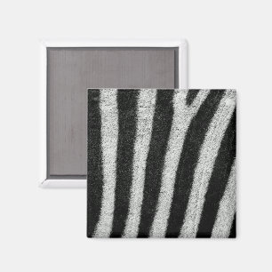 Imã A zebra listra o ímã
