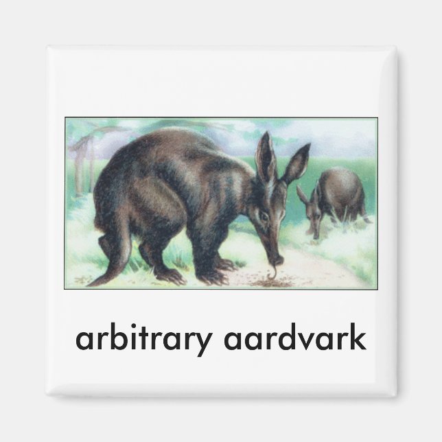 Imã aardvark arbitrário (Frente)