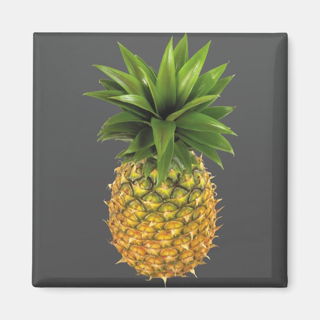 Imã Abacaxi (Frente)