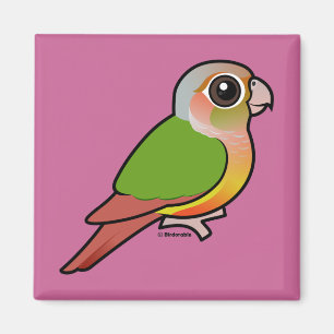 Imã Abacaxi Conure Verde-cheeked de Birdorable