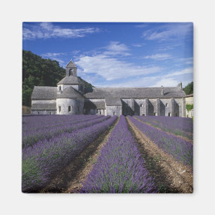 Imã Abadia de Senanque, Gordes, Vaucluse, Provença,