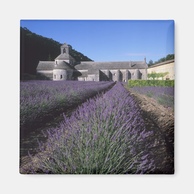 Imã Abadia de Senanque, Gordes, Vaucluse, Provença, (Frente)