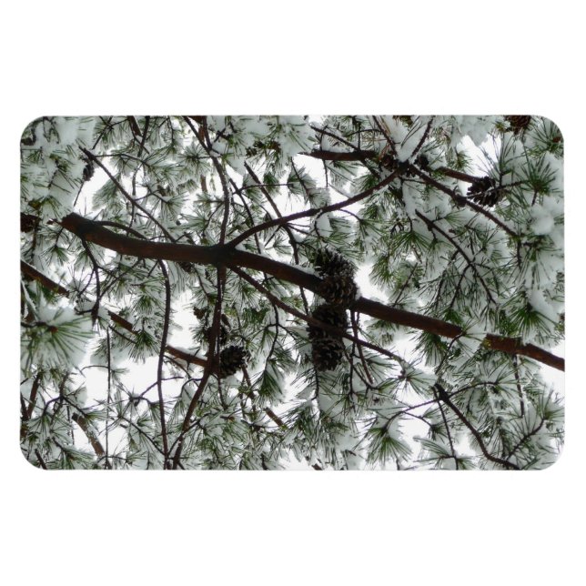 Ímã Abaixo da neve coberta pela árvore de pinheiro Fot (Horizontal)