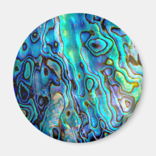 Imã Abalone shell 