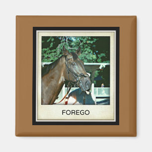 Imã Abandone o cavalo de corrida 1977