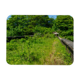 Ímã Abandoned Whitacre Mill Viaduct, Huddersfield