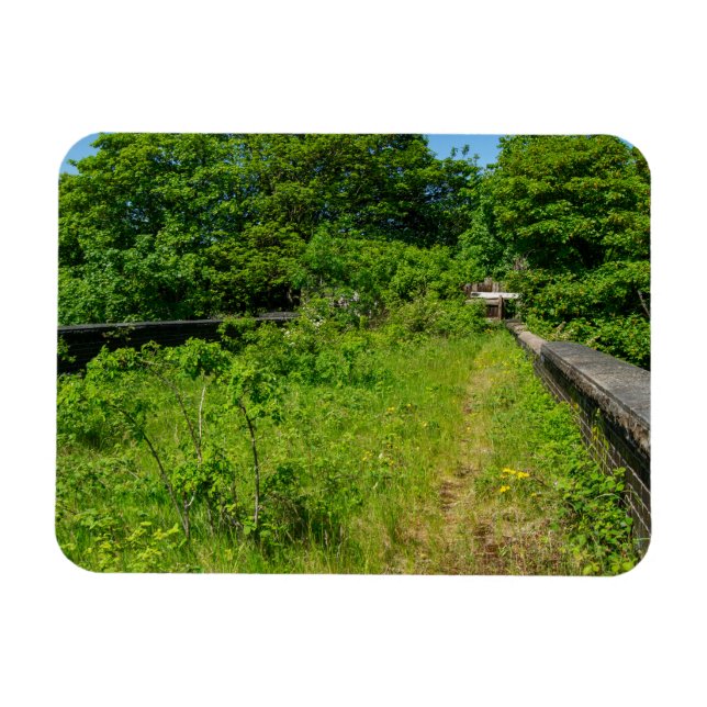 Ímã Abandoned Whitacre Mill Viaduct, Huddersfield (Horizontal)