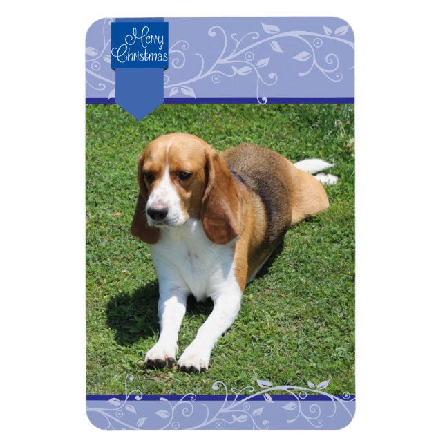 Ímã Abas Azuis e Florescente, Magneta de Natal Feliz (Vertical)