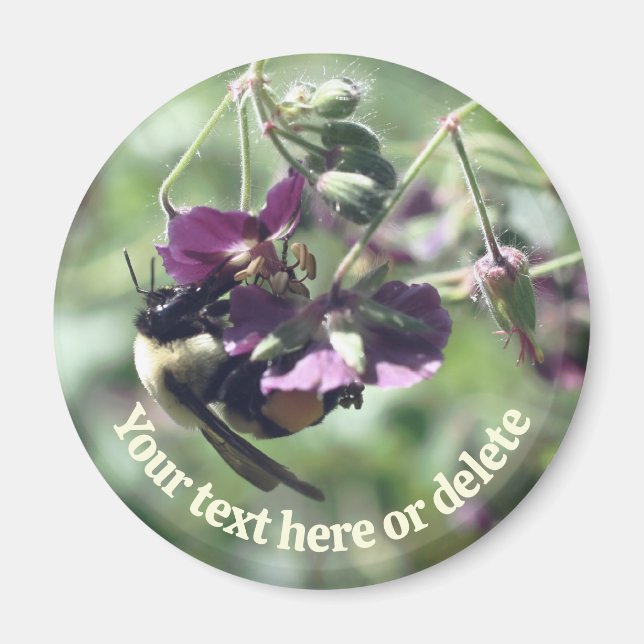 Imã Abeja Melífera Com Flor De Pólen Personalizada (Frente)