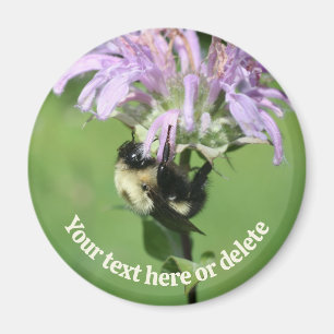 Imã Abeja Melífera Em Flor De Bálsamo De Abelha Person