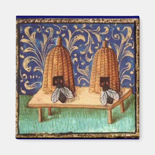 IMÃ ABELHA DE MEL, PROFESSOR (Frente)